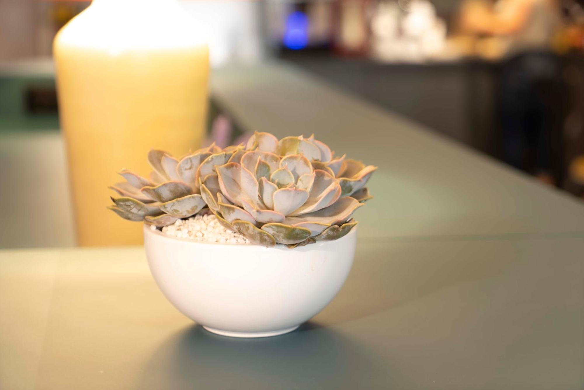 Maria Luisa By Introvert Hotels Sofia Eksteriør billede
